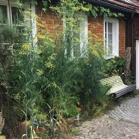 Brandholz Apartman