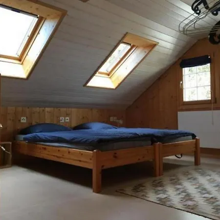 Brandholz